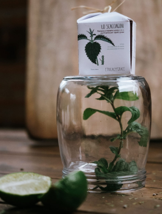 shampoo balsamo solido ethical grace lo scacciaguai