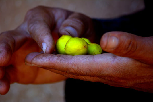 MERAVIGLIOSO…OLIO DI ARGAN